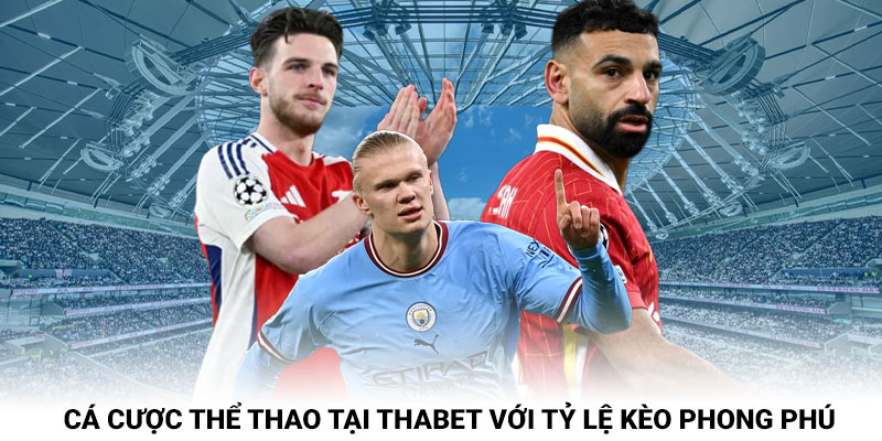 Cá cược thể thao tại Thabet với tỷ lệ kèo phong phú