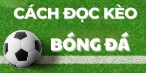 Cách Đọc Kèo Bóng Đá Tại Thabet Dễ Hiểu Và Xác Suất Thắng Cao